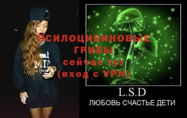 винт Козельск
