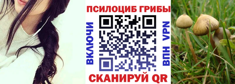 Галлюциногенные грибы MAGIC MUSHROOMS  shop клад  Нея 